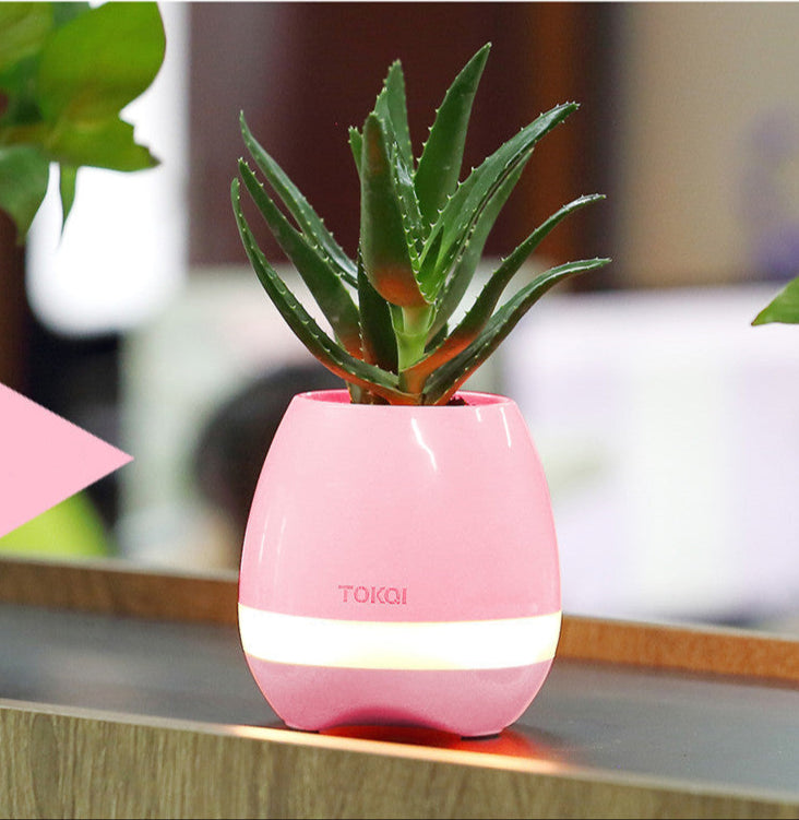 Touch-sensitive music vase desktop audio