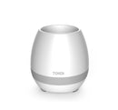 Touch-sensitive music vase desktop audio