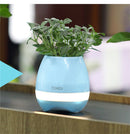 Touch-sensitive music vase desktop audio